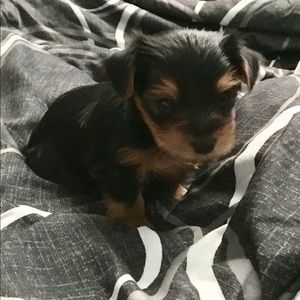 Meet your Posher, Yanira